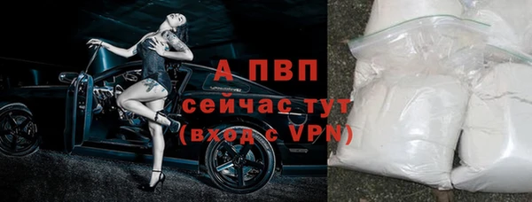 спайс Беломорск
