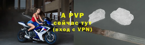 спайс Беломорск