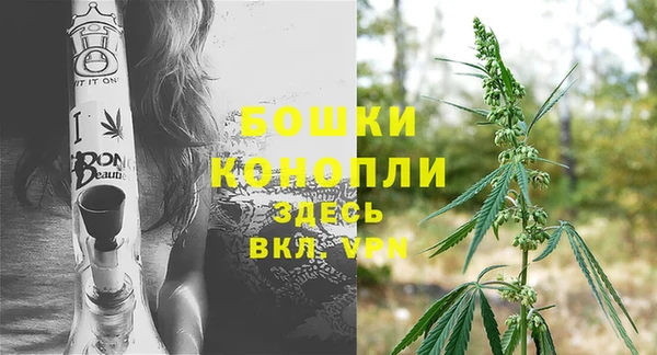 спайс Беломорск