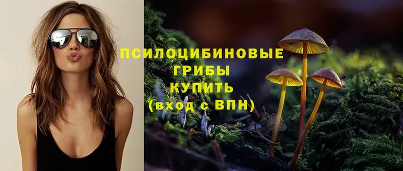 Псилоцибиновые грибы Psilocybine cubensis Лермонтов