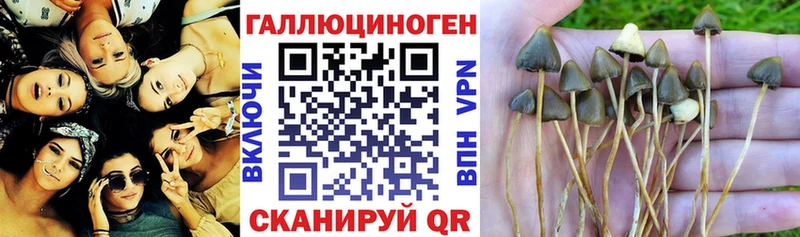 сайты даркнета формула  Лермонтов  Галлюциногенные грибы MAGIC MUSHROOMS  как найти наркотики 